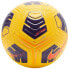 Nike Academy Team Ball