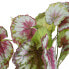 Фото #3 товара Künstliche Blume Begonia