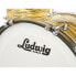 Фото #13 товара Ludwig Classic Maple Rock Lemon Oy