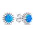 Beautiful opal jewelry set SET231WB (earrings, pendant)