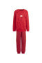 Фото #1 товара Спортивный костюм Adidas Desenli Красный для мужчин IN7291-LK DY 100 JOG