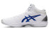 Asics Gel-Hoop V12 1063A021-100 Basketball Sneakers