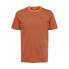 ფოტო #3 პროდუქტის SELECTED Norman Stripe short sleeve T-shirt