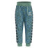 Фото #1 товара HUMMEL Olympus Pants