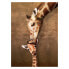 Фото #2 товара Пазл с изображением поцелуя жирафа-матери EUROGRAPHICS Puzzle XXL 500 элементов