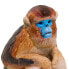 Фото #8 товара Фигурка Safari Ltd Обезьяна со сплюшниковым носом Snub Nosed Monkey Figure Wild Safari Wildlife (Дикая Сафари Природа)