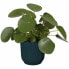Горшок для цветов elho Plant pot Circular 25 cm Dark blue Plastic