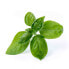 Фото #4 товара Véritable 3760262511016 - Edible plant - Basil - Refill - Fast grower (3-5 weeks)