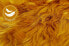 Фото #6 товара Sitzkissen Ovium 4er Set