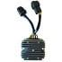 SGR 12V/35A Trifase CC 6 Wires 2 Conectores 4179160 Regulator
