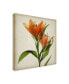 Фото #2 товара Judy Stalus Parchment Flowers X Canvas Art - 20" x 25"