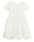 Фото #2 товара Платье для малышей Rare Editions с кружевным прозрачным верхом