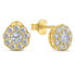 Elegant gold-plated earrings with zircons Flowers EA331Y