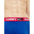 Фото #4 товара Tommy Hilfiger UM0UM02178C86