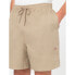 Фото #6 товара DICKIES Pelican Rapids Shorts