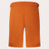 Фото #4 товара OAKLEY APPAREL Factory Pilot RC shorts with chamois