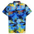 HAPPY BAY The sunset classic short sleeve shirt