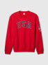 Фото #4 товара Team USA Sweatshirt