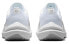 Кроссовки Nike Winflo 10 DV4023-102