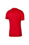 Dri-fit Park Vii Erkek Futbol Forması Kırmızı