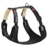 ფოტო #2 პროდუქტის FERPLAST Giotto P Harness