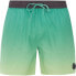 Фото #1 товара PROTEST Erin Swimming Shorts