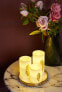 Фото #4 товара Настольная офисная лампа Pauleen LED-свеча Golden Feather в наборе из 3 шт.