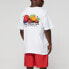 Фото #8 товара Футболка Stussy Fresh Fruit T 1904542