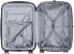 DELSEY PARIS Helium Aero Hardside erweiterbares Gepäck mit Spinnrollen, Titan (Braun) - 7640PL