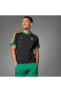 Фото #1 товара Футболка Adidas Jamaica Adicolor 3Stripes