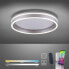 Фото #3 товара Потолочный светильник Smart Home Lights by Paul Neuhaus Q-Vito