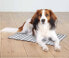 Фото #5 товара Легкое охлаждающее лежак для собак TRIXIE Mata, M: 40 50 см, бело-серый