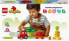 Фото #31 товара LEGO 10982 DUPLO My First Fruit and Vegetable Tractor, Farm Set, Sorting and Stacking Toy for Babies and Toddlers Aged 1.5 to 3 Years, Educational Toy
