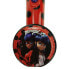 Karaoke Microphone Lady Bug Red