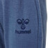 Фото #4 товара HUMMEL Dallas Tracksuit Pants