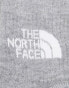 The North Face Simple Dome 3 pack logo ankle socks in white grey and black