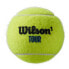 Фото #2 товара WILSON Tour Premier All Court Tennis Balls