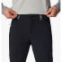 Фото #4 товара COLUMBIA Triple Canyon™ pants