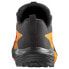 SALOMON Sense Ride 5 Goretex trail running shoes