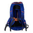 REGATTA Blackfell III 25L backpack