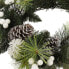 Фото #6 товара Weihnachtskranz Raflesia