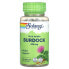 Фото #1 товара Травы и натуральные средства True Herbs, Burdock 425 мг, 100 капсул