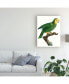 Barraband Parrot of the Tropics IV Canvas Art - 15" x 20"