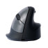 R-Go HE Mouse R-Go HE ergonomic mouse - large - right - wireless - Right-hand - RF Wireless - 2500 DPI - Black