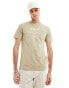 GANT large script logo print t-shirt in tan