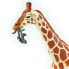 SAFARI LTD Reticulated Giraffe Eating Figure