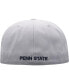 ფოტო #5 პროდუქტის Men's Gray Penn State Nittany Lions Fitted Hat