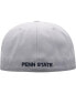 Men's Gray Penn State Nittany Lions Fitted Hat