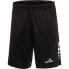 MERCURY EQUIPMENT Victory Shorts