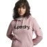 Фото #1 товара SUPERDRY Cl Ub hoodie